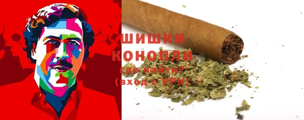 spice Горнозаводск