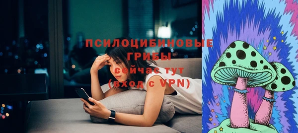 spice Горнозаводск